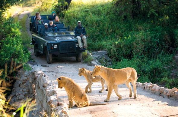 Kruger Park Lodge 401 Hazyview Esterno foto